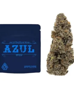 Buy Rare Azul strain