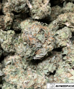 Buy AFGHAN KUSH