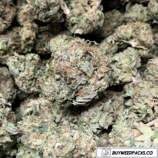 Buy AFGHAN KUSH