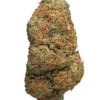 Northern Light UK 