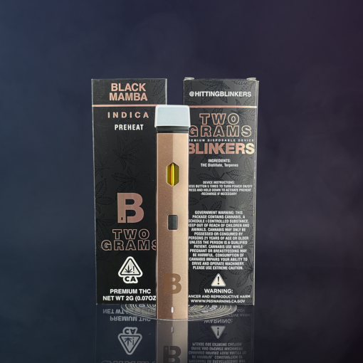 Blinkers Disposable Vape Pens - Image 2