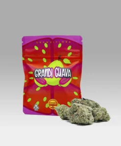 BUY GRANDI GUAVA STRAIN