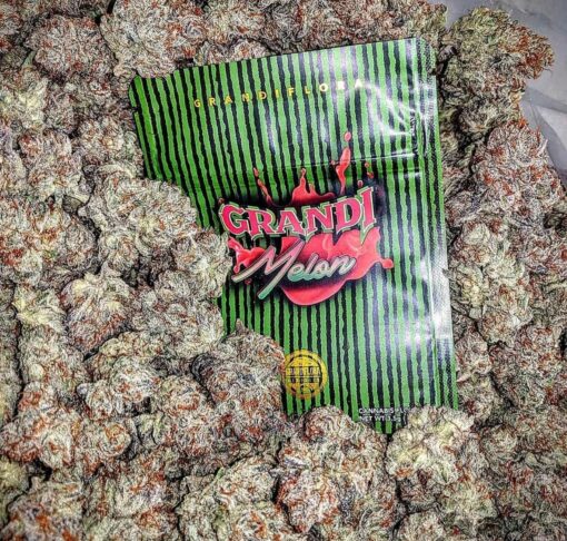 Buy Grandi Melon Strain UK