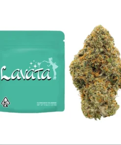 Rare Lavata Strain