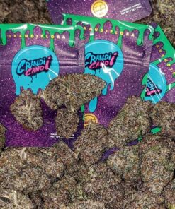 BUY GRANDI CANDI STRAIN UK