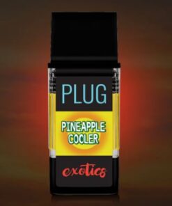 Pineapple cooler