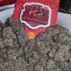 WILD THORNBERRYS STRAIN 