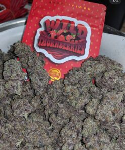 WILD THORNBERRYS STRAIN 