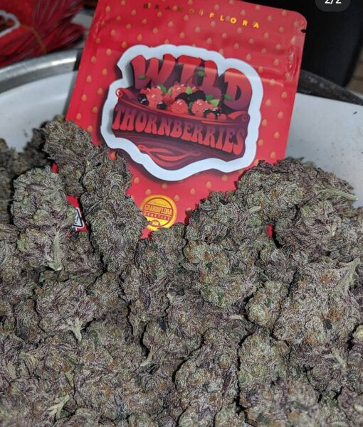 WILD THORNBERRYS STRAIN 