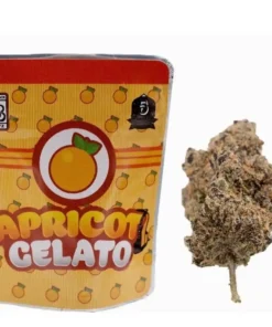 Buy Apricot Gelato Strain
