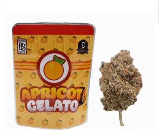 Buy Apricot Gelato Strain