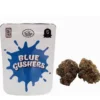 Buy Blue Gushers strain