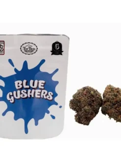 Buy Blue Gushers strain