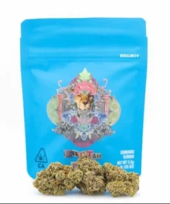 Buy Cheetah Piss Strain