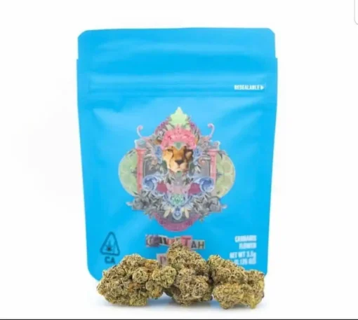 Buy Cheetah Piss Strain