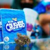 Blue Crushers Gushers Strain
