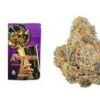 Buy Crushers Gushers Strain