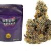 E85 Strain