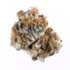 Blueberry Weed strain