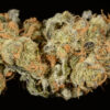 Buy Girl Scout Cookies 