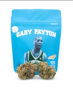 Buy Gary Payton Strain