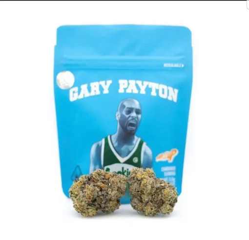 Buy Gary Payton Strain