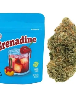 Buy Grenadine Cookies strain