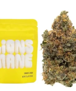 Buy Lions Mane Strain