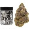 Buy Lucky Strain