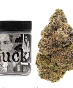 Buy Lucky Strain