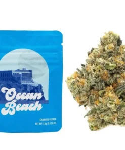 Buy Ocean Beach Strain