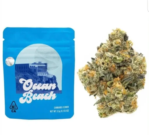 Buy Ocean Beach Strain