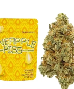 Buy Pineapple Piss Strain