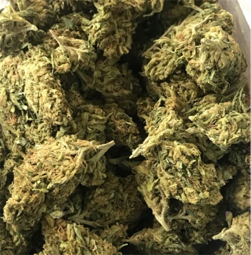 Buy Sour Diesel