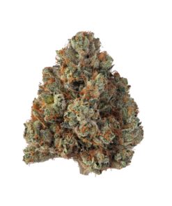 Buy Khalifa-kush