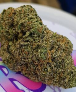 Buy white runtz weed strain